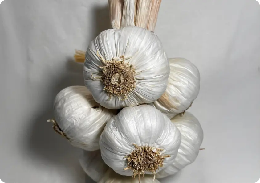 Captura_de_pantalla_2025-09-18_a_las_15.08.002x