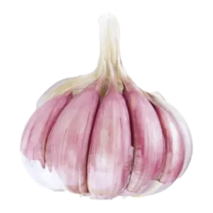 ajo-morado-castellano-product