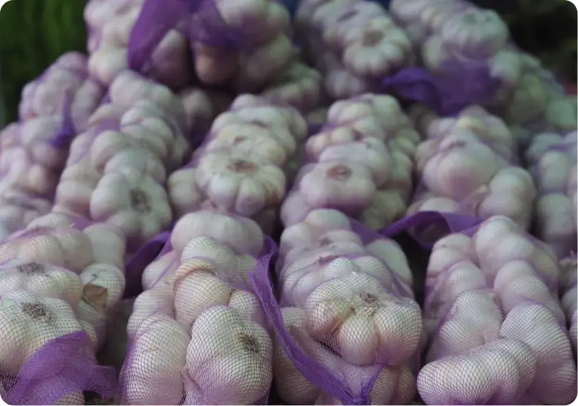 bulbos-de-ajo-en-red-purpura-en-el-mercado-para-la-venta_(1)2x