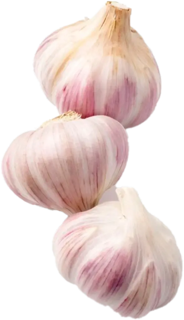 cabecera-contacto-ajos