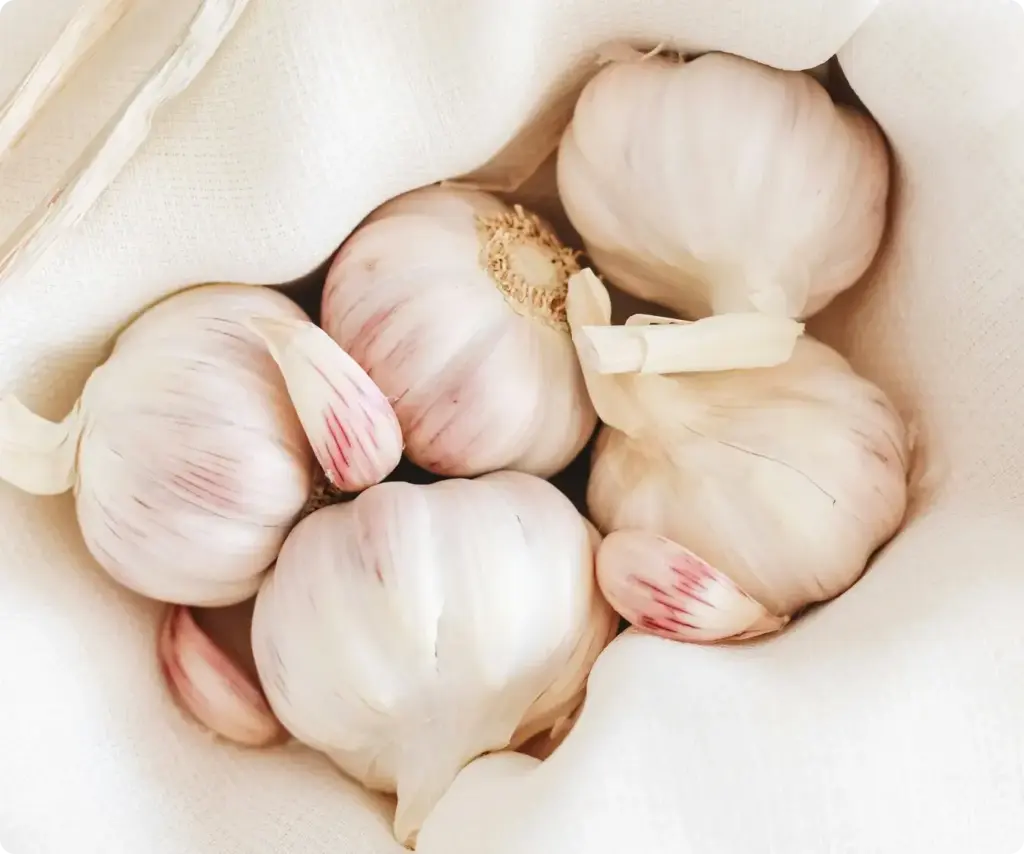 cinco_ajos_blanos_y_dientes2x