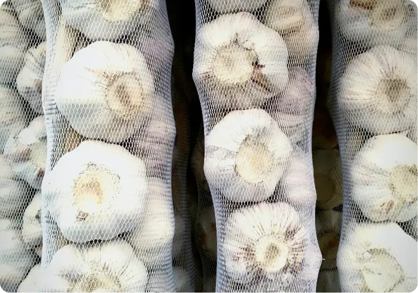 fotografia-completa-del-hombre2x