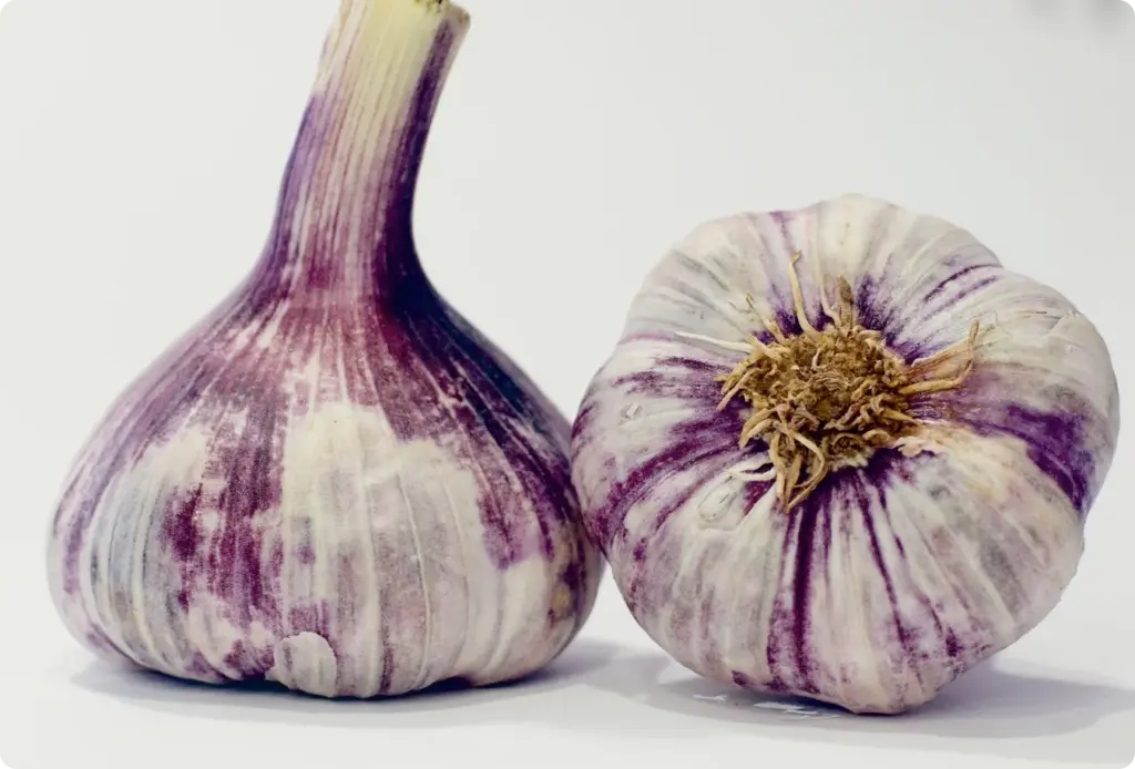 primer-plano-de-bulbos-de-ajo-sobre-un-fondo-blanco