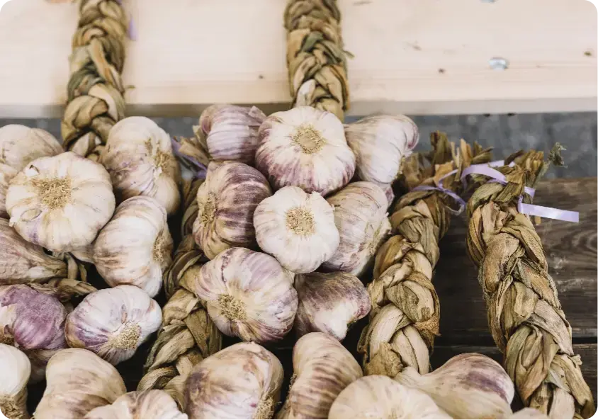 una-vista-aerea-de-trenzas-de-bulbo-de-ajo-en-mesa-de-madera2x